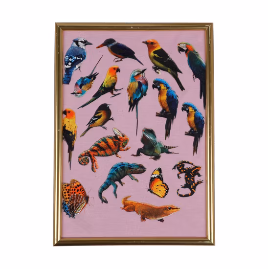 Tinta pigmentada de silicone líquido para serigrafia têxtil com certificação ISO